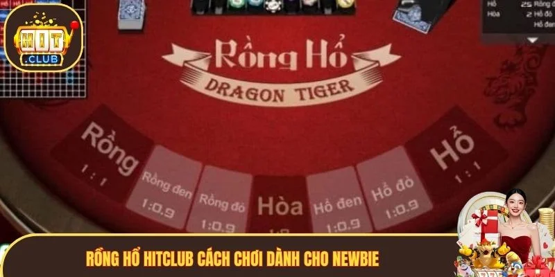 Rồng Hổ Hitclub cách chơi dành cho newbie